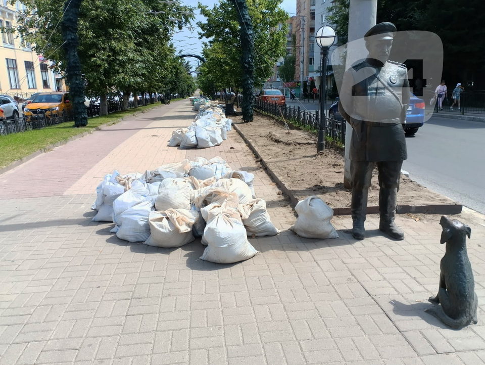 Общество, Озеленение города