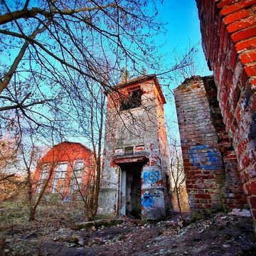 Культура, Общество, Евгений Чудаков
