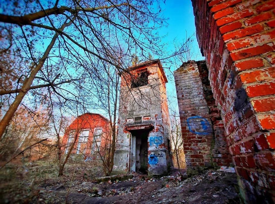 Культура, Общество, Евгений Чудаков