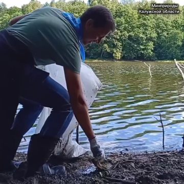 Общество, Субботник, Экология