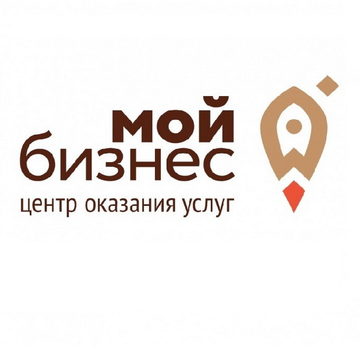 Общество, Экономика, Михаил Мишустин, Правительство России