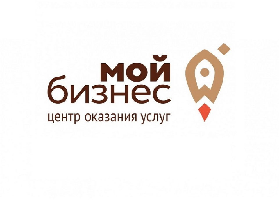 Общество, Экономика, Михаил Мишустин, Правительство России
