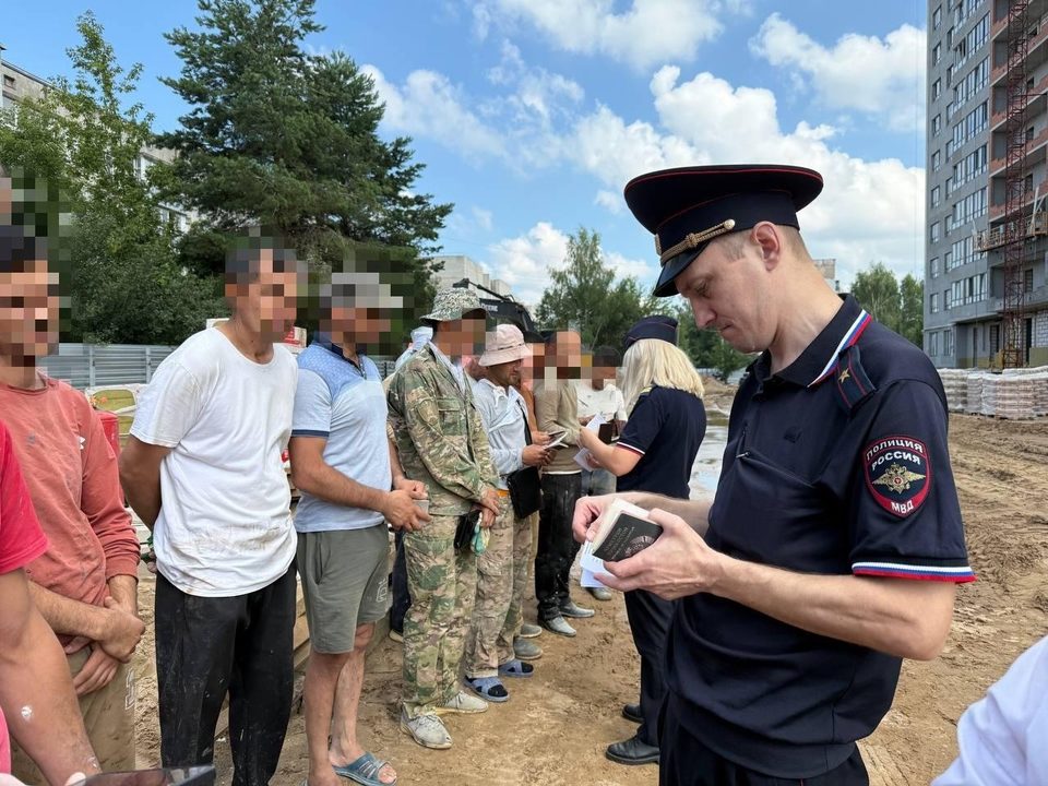 Мигранты, Общество, Полиция