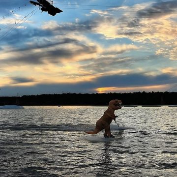 Яченское водохранилище