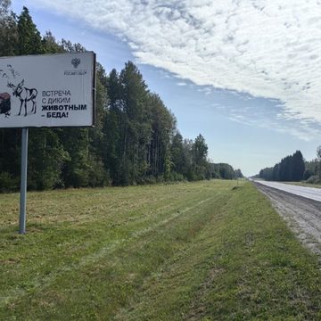 Авария, ДТП, Статистика