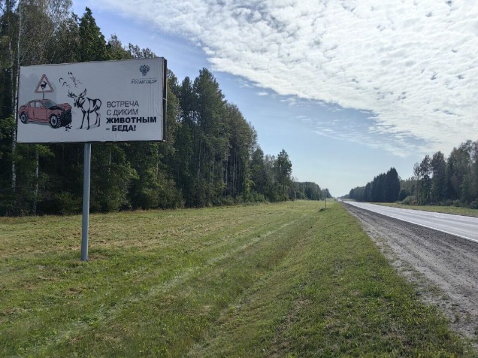 Авария, ДТП, Статистика