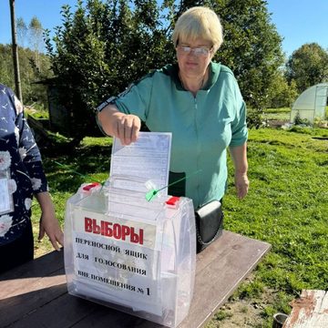 Выборы, Общество