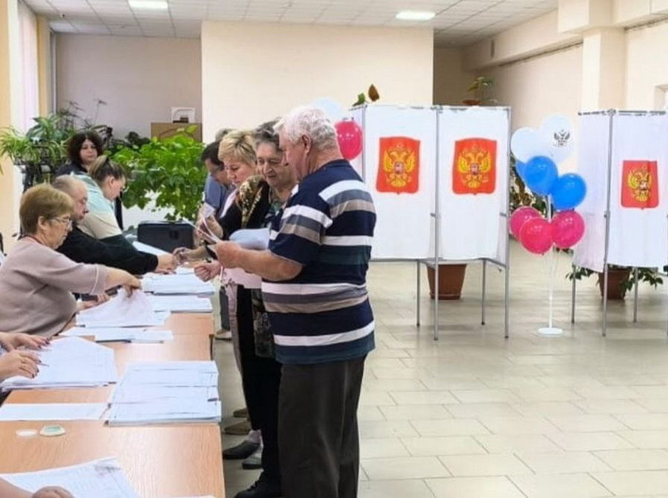 Выборы, Общество