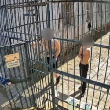 Колонии и тюрьмы, Татуировки