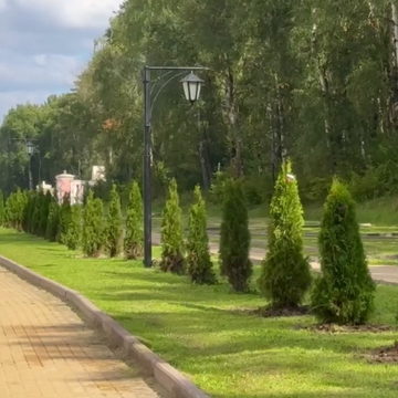 Общество, Озеленение города, Район Правобережье