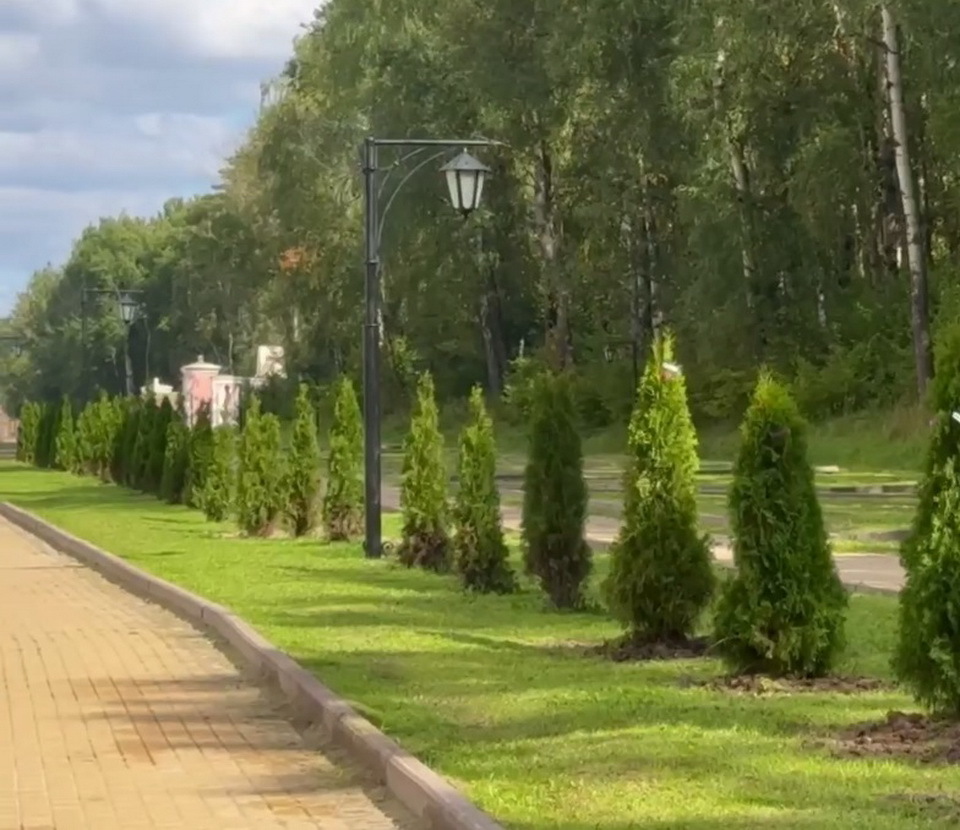 Общество, Озеленение города, Район Правобережье