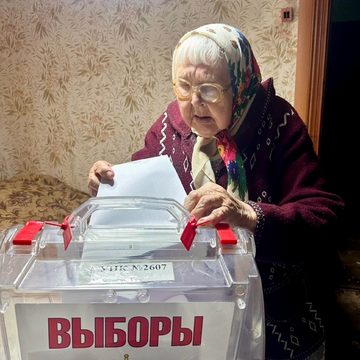 Выборы, Общество