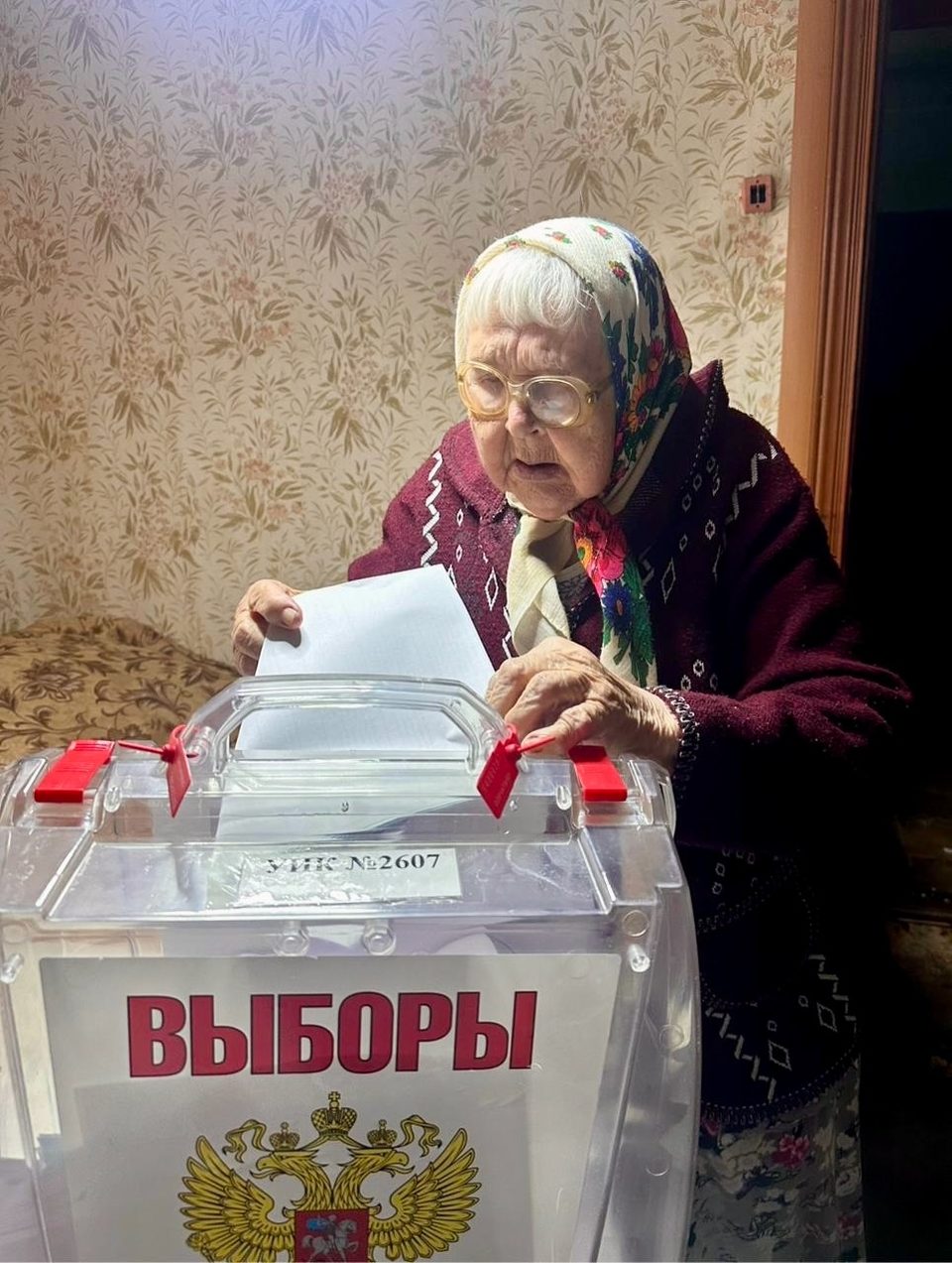 Выборы, Общество