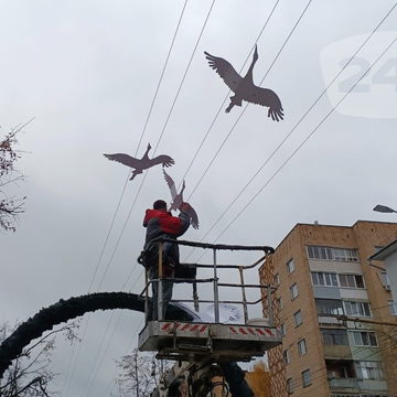 Общество