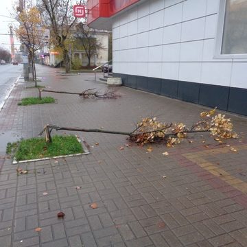 Вандалы, Происшествия
