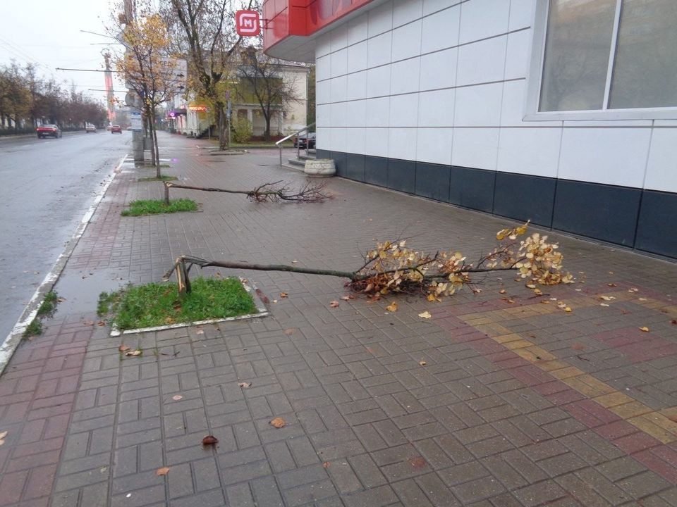 Вандалы, Происшествия