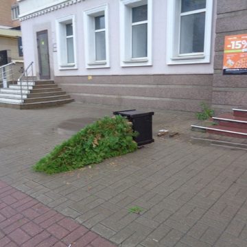 Вандалы, Происшествия
