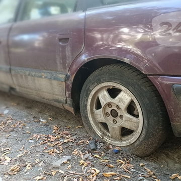 Авто, Общество