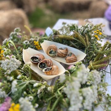 Сельское хозяйство, Экономика