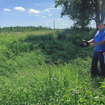 Общество, Сельское хозяйство, Россельхознадзор