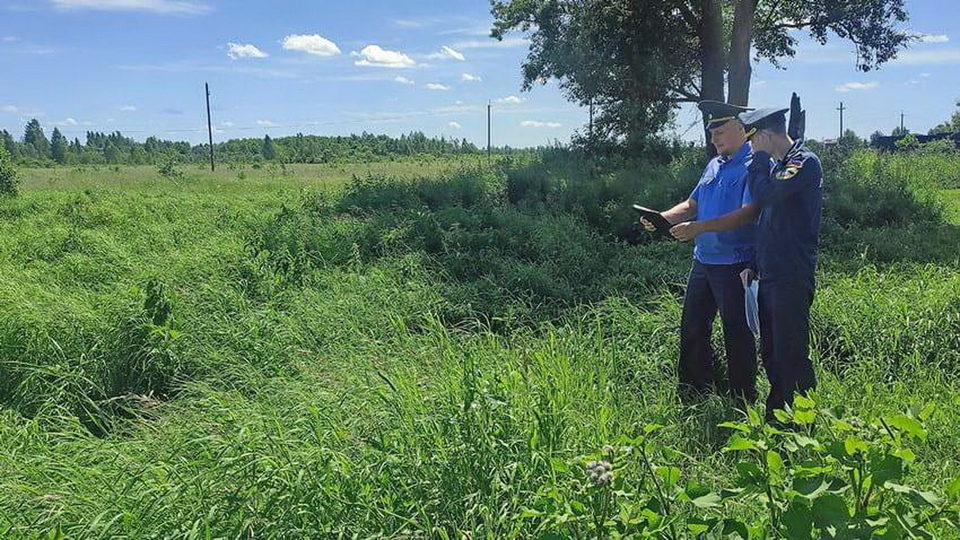 Общество, Сельское хозяйство, Россельхознадзор