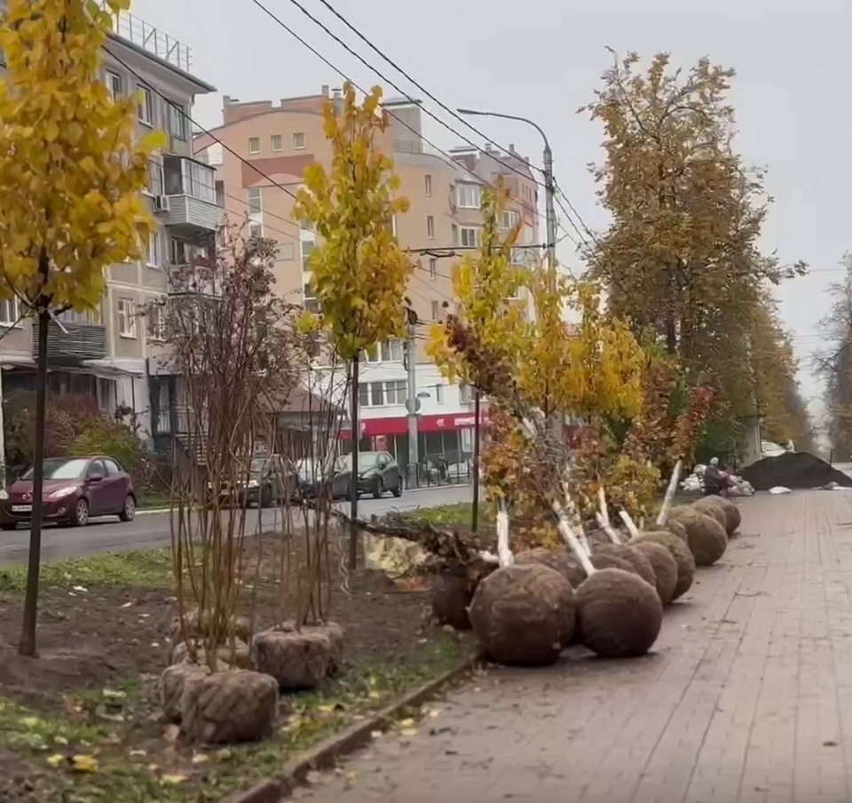 Общество, Озеленение города