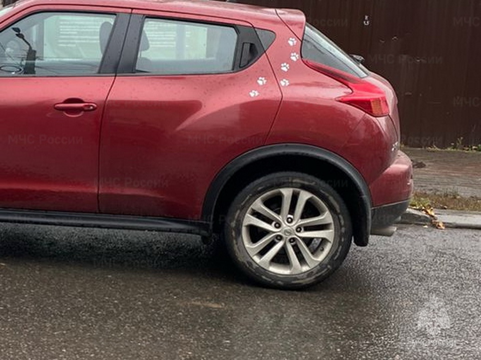 ДТП, Происшествия, ГИБДД