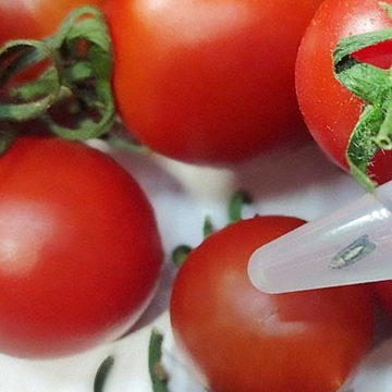 Общество, Сельское хозяйство, Экономика, Россельхознадзор