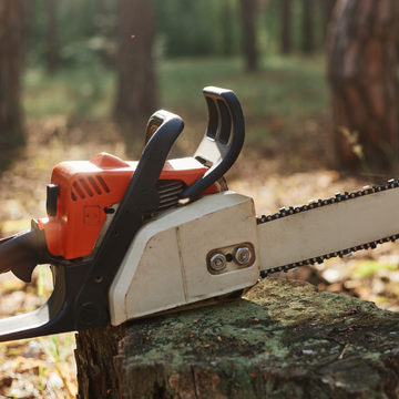 Вырубка леса, Деревья, Криминал, Происшествия, Суд, Калужская область, Мосальский район, Прокуратура