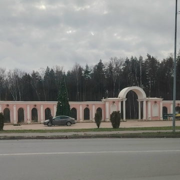 Новогодняя елка, Новый год, Общество, Район Правобережье