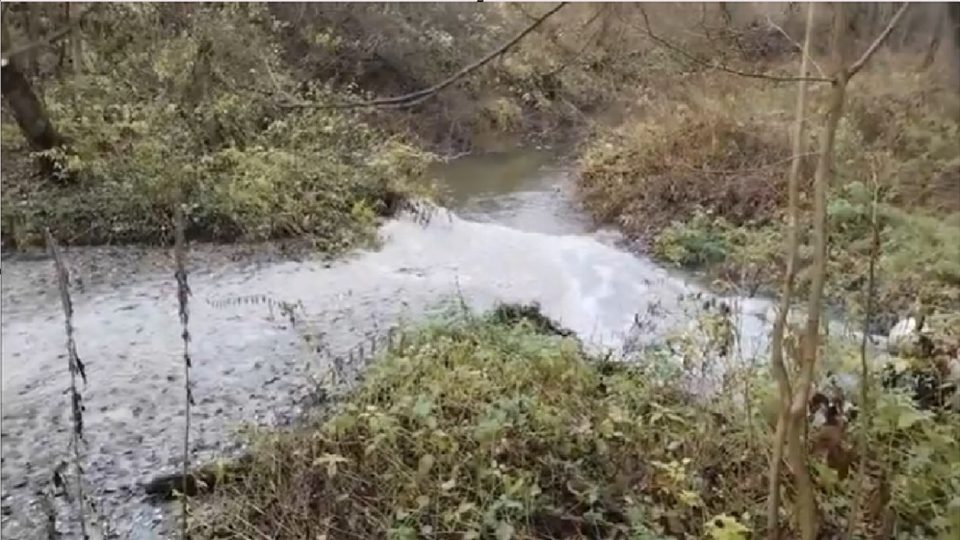 Экология, Город Медынь