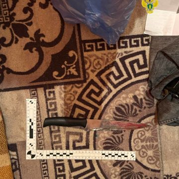 Криминал, Суд, Убийство, Боровский район, Город Боровск, Следственный комитет