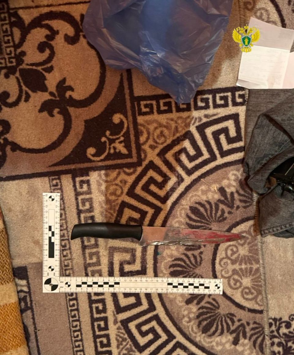 Криминал, Суд, Убийство, Боровский район, Город Боровск, Следственный комитет