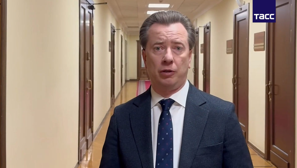 Животные, Город Обнинск, Обнинск