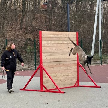 Животные, Собаки, Дмитрий Денисов, Калуга