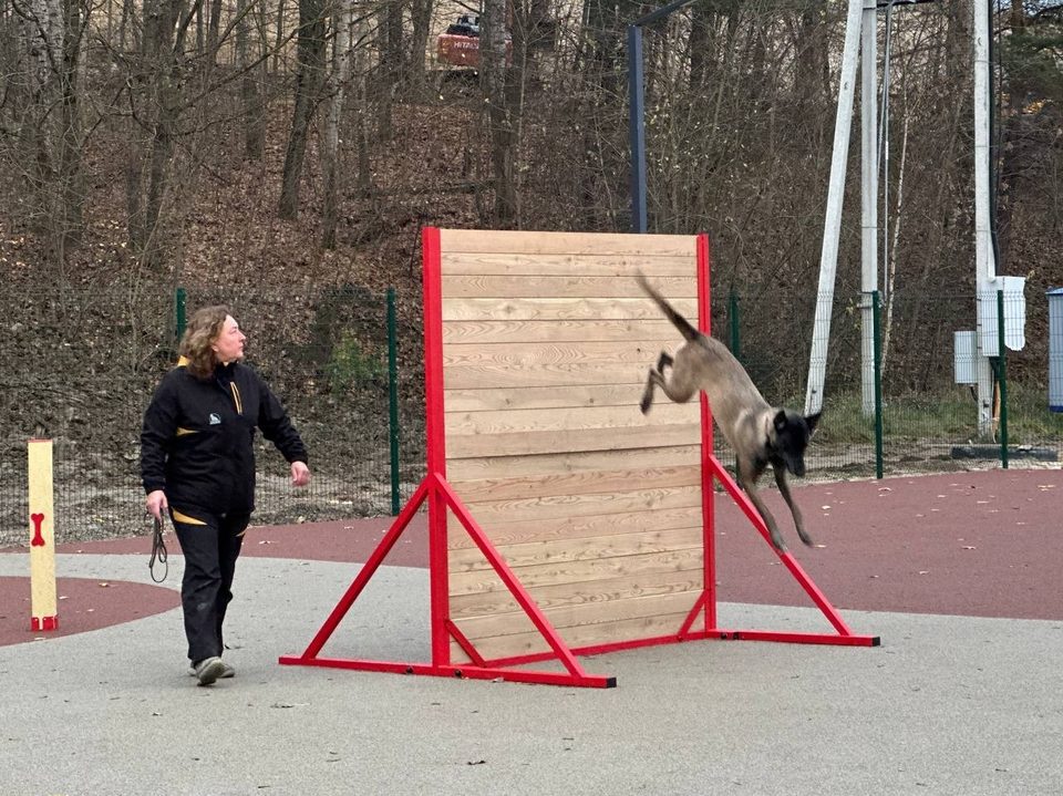 Животные, Собаки, Дмитрий Денисов, Калуга