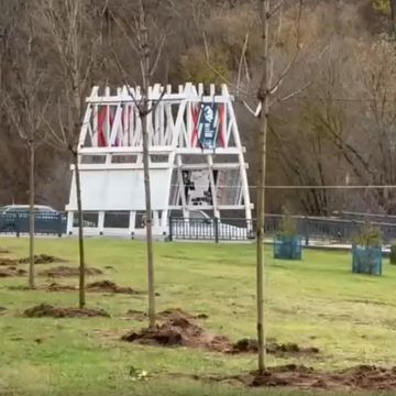 Общество, Озеленение города