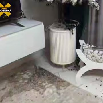 Новогодняя елка, Происшествия