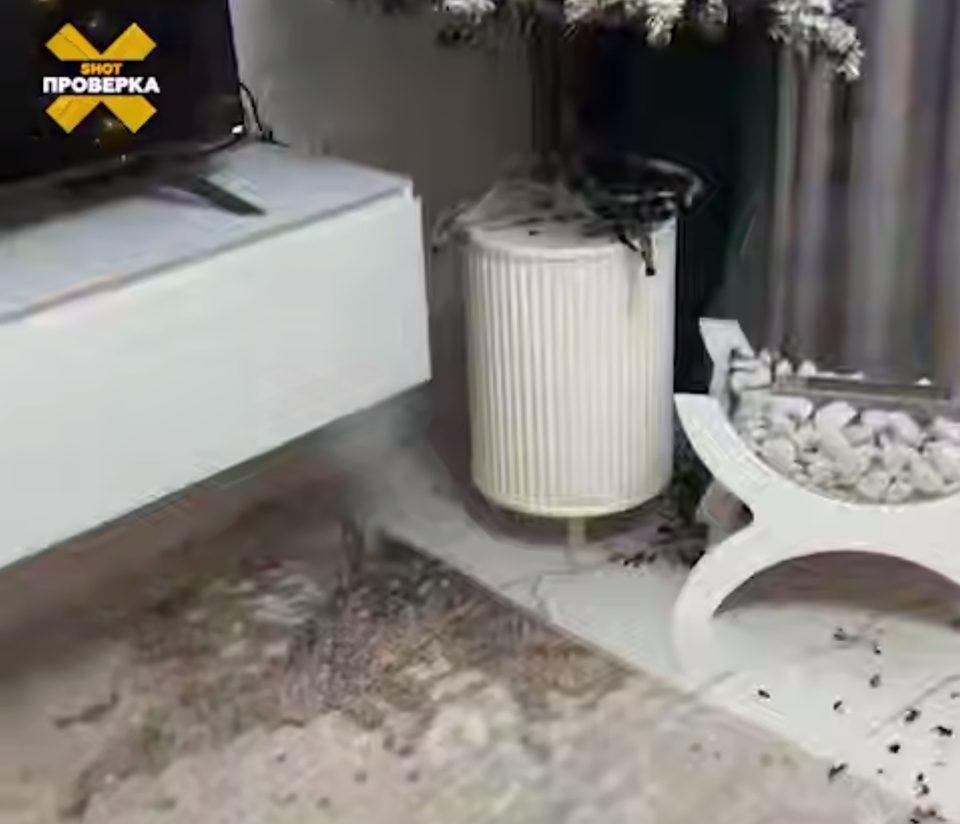 Новогодняя елка, Происшествия