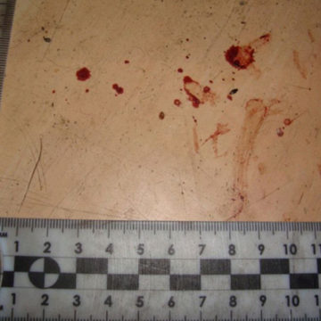 Алкоголь, Криминал, Нападение, Происшествия, Убийство, Калуга, Калужская область, Полиция, Следственный комитет