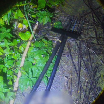 Браконьеры, Происшествия, Следственный комитет, Сухиничский район