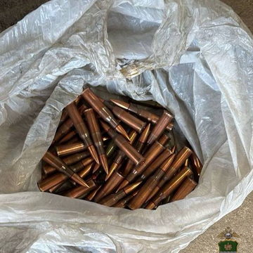 Общество, Оружие, Полиция