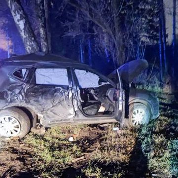 Авария, ДТП, Боровский район, Калужская область, Полиция