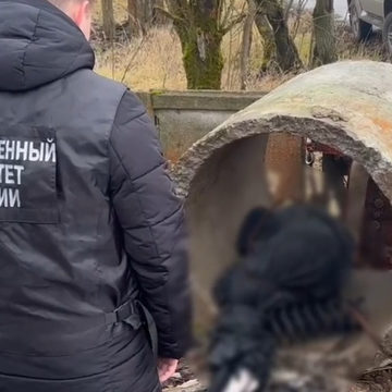 Алкоголь, Криминал, Происшествия, Убийство, Барятинский район, Калужская область, Следственный комитет