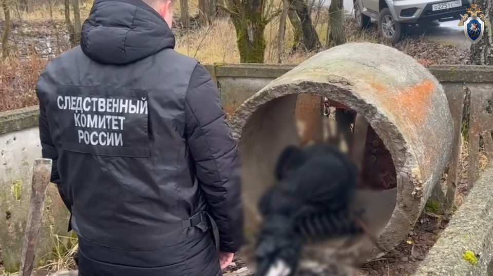 Алкоголь, Криминал, Происшествия, Убийство, Барятинский район, Калужская область, Следственный комитет