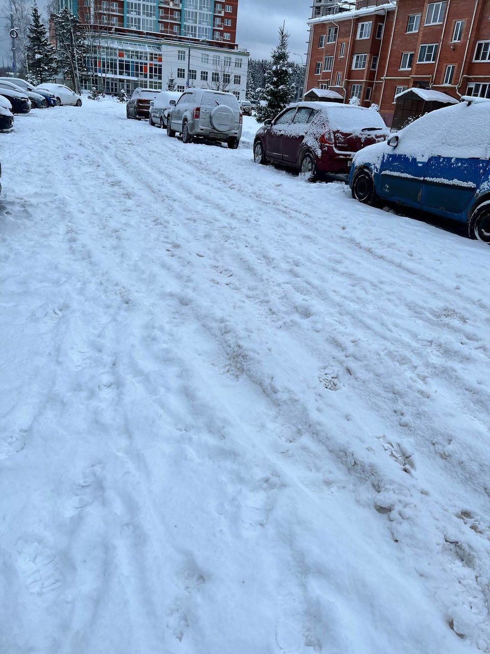 Общество, Уборка города