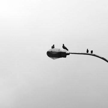 Кража, Криминал, Мошенничество, Хищение, Боровский район, Город Балабаново, Прокуратура