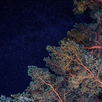 Наука, Общество, Калуга, Калужская область