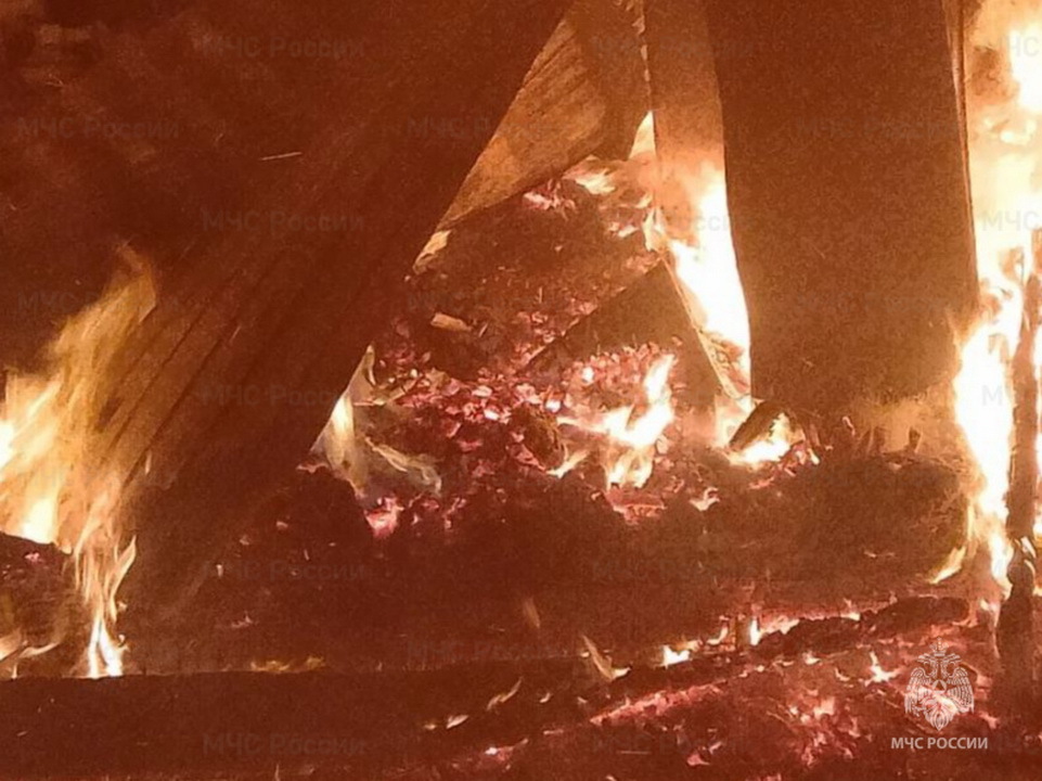 Пожар, Происшествия, Жиздринский район, Следственный комитет