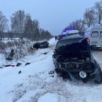 Авария, Дети, ДТП, Происшествия, Смерть, Калужская область, Прокуратура, Ферзиковский район